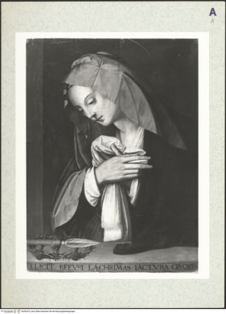 Vorderseite von bh392473_recto