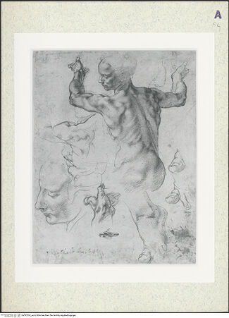 Vorderseite von Metropolitan Museum of Art [https://www.deutsche-digitale-bibliothek.de/content/lizenzen/rv-ez/] Studien für die Sibylla Lybica - , bh392504_recto. Foto.