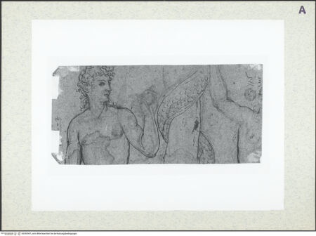 Vorderseite von bh392507_recto