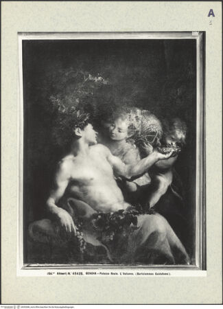 Vorderseite von bh392686_recto