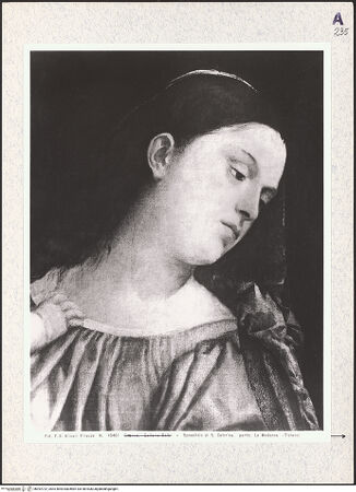 Vorderseite von bh392722_recto