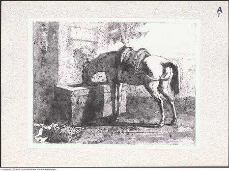 Vorderseite von bh392747_recto