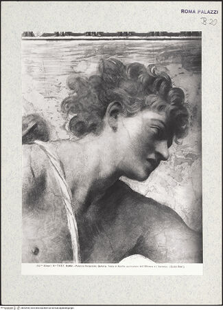 Vorderseite von bh392990_recto