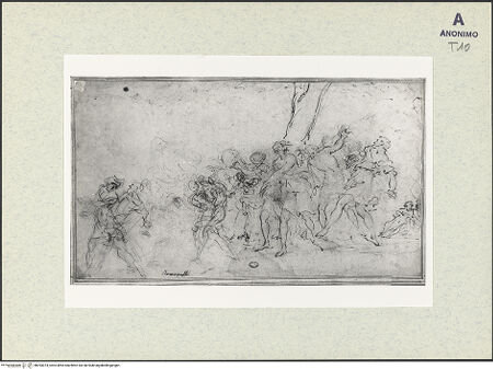 Vorderseite von bh393074_recto