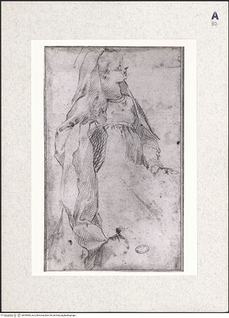 Vorderseite von bh393085_recto