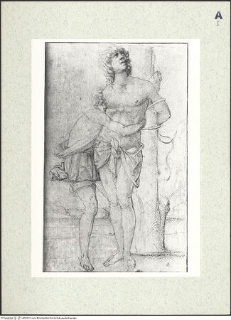 Vorderseite von bh393313_recto