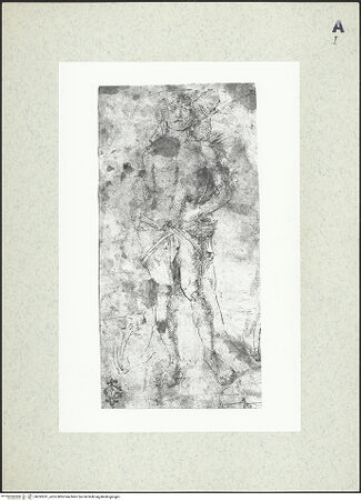 Vorderseite von bh393331_recto