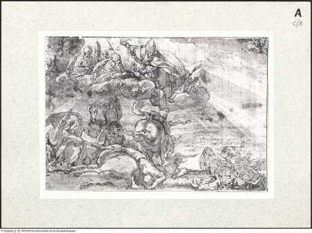 Vorderseite von bh393390_recto