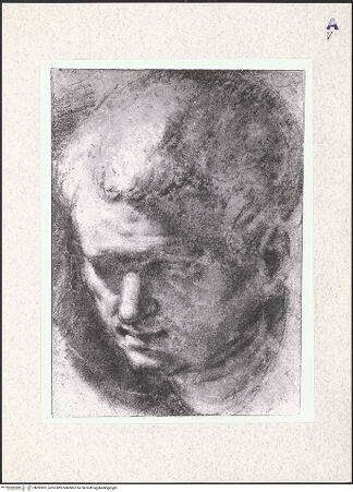 Vorderseite von bh393391_recto