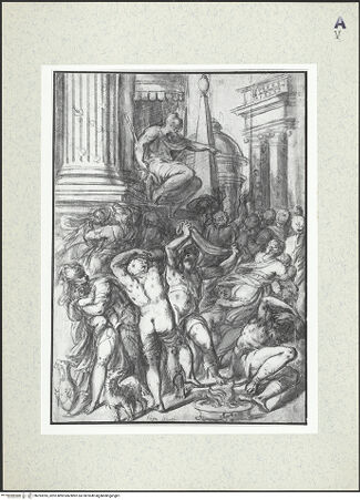 Vorderseite von bh393395_recto