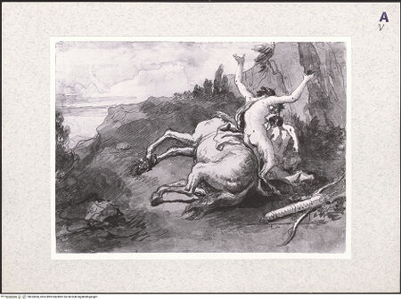 Vorderseite von bh393406_recto