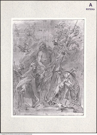 Vorderseite von bh393428_recto