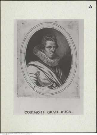 Vorderseite von bh393494_recto