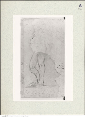 Vorderseite von bh393503_recto