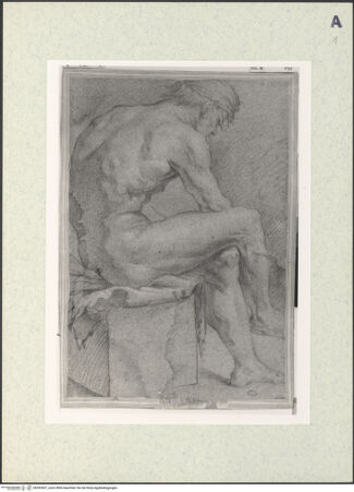 Vorderseite von bh393507_recto