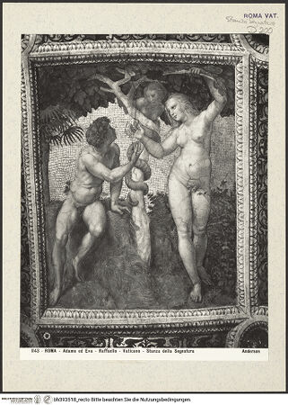 Vorderseite von bh393518_recto