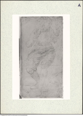 Vorderseite von bh393575_recto