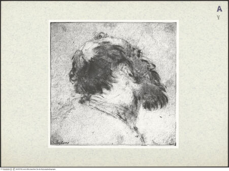 Vorderseite von bh393765_recto