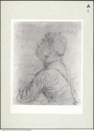 Vorderseite von bh393766_recto