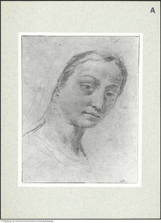 Vorderseite von bh393784_recto