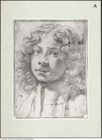 Vorderseite von bh393856_recto