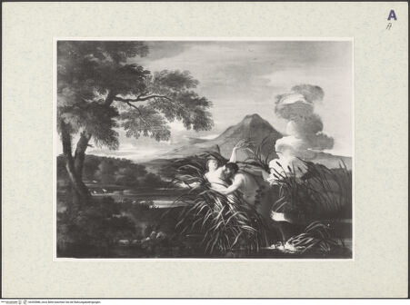 Vorderseite von bh393888_recto