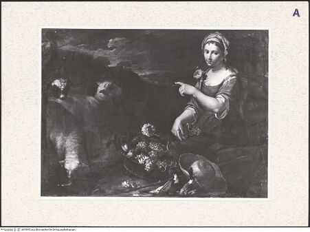 Vorderseite von bh393905_recto