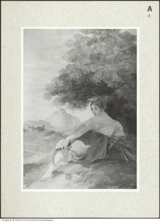 Vorderseite von bh393920_recto