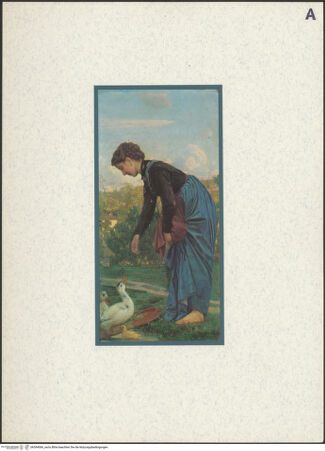 Vorderseite von bh394066_recto