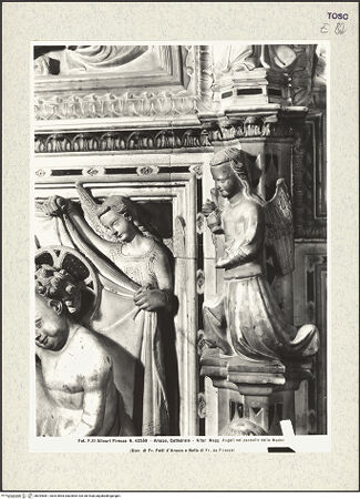 Vorderseite von Alinari [https://www.deutsche-digitale-bibliothek.de/content/lizenzen/rv-ez/] Hauptaltar und Schrein des heiligen DonatusRetabel und Schrein des heiligen DonatusRetabel (Frontseite)Dritte Bildfeld:  Himmelfahrt Marias; Madonna mit Engeln - Engel rechts (mit vierten Pilaster), bh394081_recto. Foto.