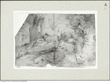 Vorderseite von bh394271_recto