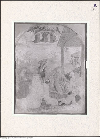 Vorderseite von bh394395_recto