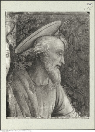 Vorderseite von bh394468_recto