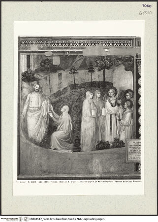 Vorderseite von bh394517_recto