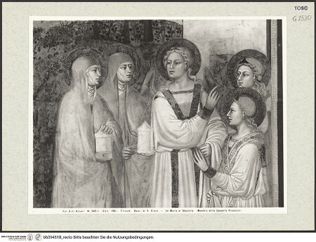 Vorderseite von bh394518_recto