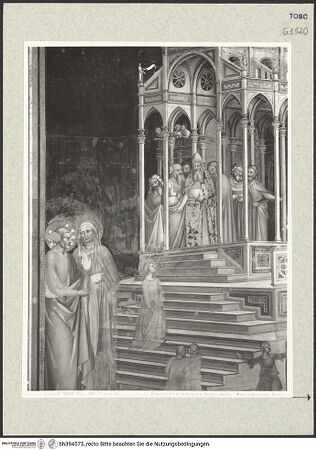 Vorderseite von bh394575_recto