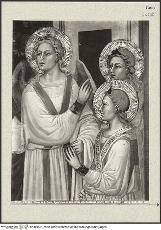 Vorderseite von bh394581_recto