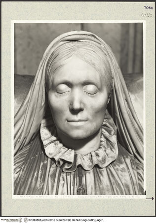 Vorderseite von bh394588_recto