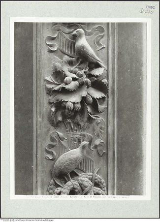 Vorderseite von bh394625_recto