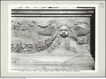 Vorderseite von bh394678_recto