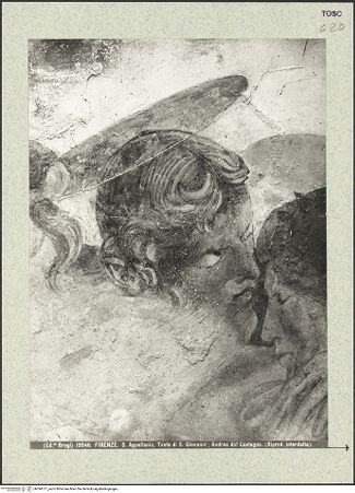 Vorderseite von bh394777_recto