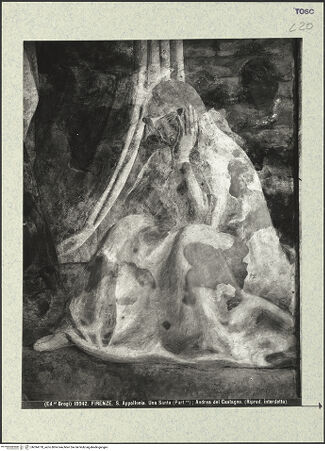 Vorderseite von bh394778_recto