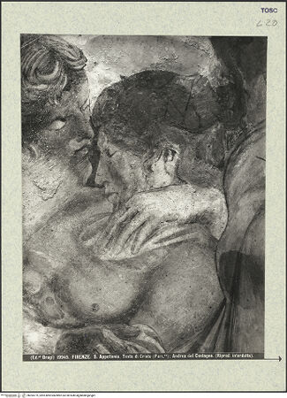 Vorderseite von bh394779_recto