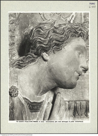 Vorderseite von bh394810_recto