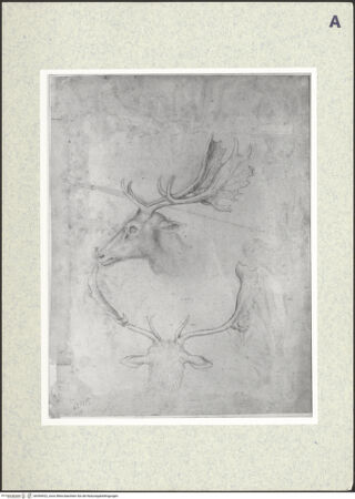 Vorderseite von bh394922_recto