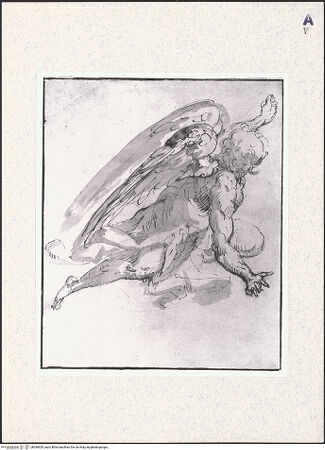 Vorderseite von bh394929_recto