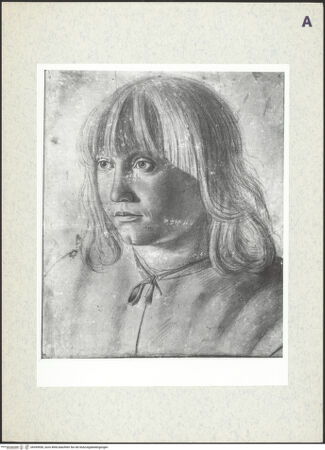 Vorderseite von bh394956_recto