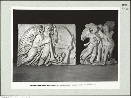 Vorderseite von bh394986_recto