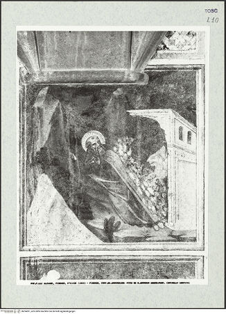 Vorderseite von bh394991_recto