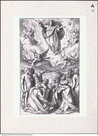 Vorderseite von bh395039_recto